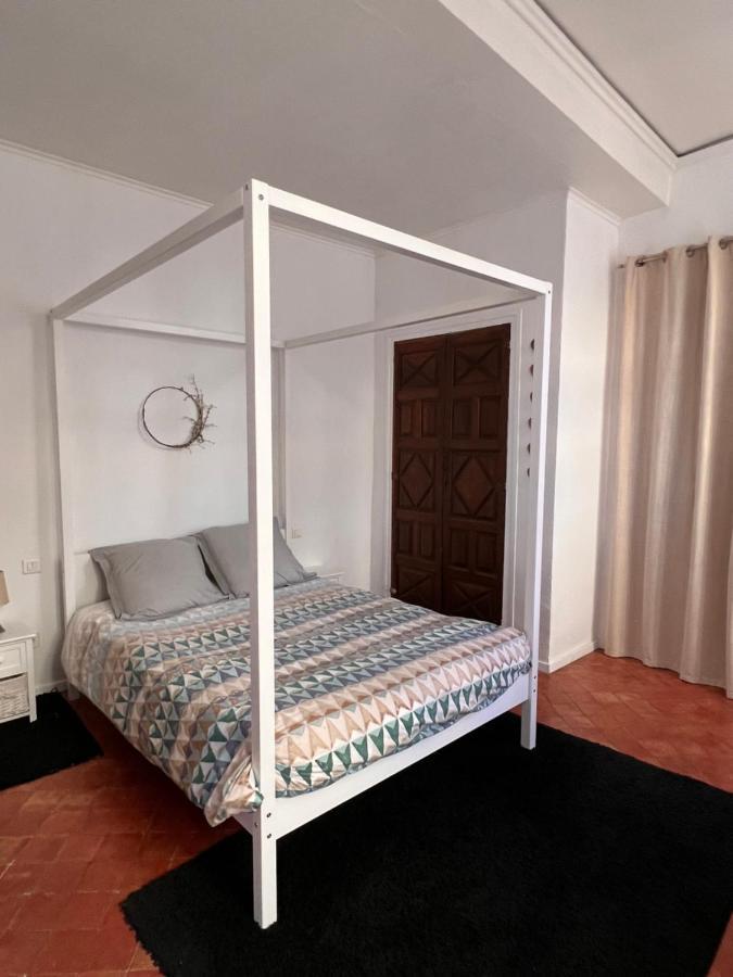 Perpignan Appartement En Plein Centre Historique Экстерьер фото